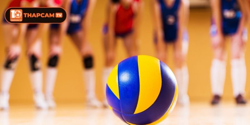 Cập Nhật Thông Tin Về Các Giải Bóng Chuyền Hot Nhất 3 Các tin tức về giải thi đấu bóng chuyền Hàn Quốc