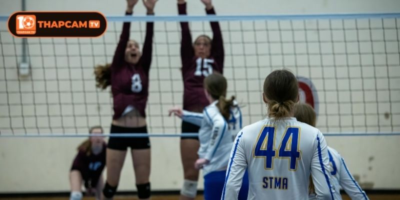 Link Xem Trực Tiếp Bóng Chuyền Chuẩn Nhất Tại Thapcam 3 Hướng dẫn xem trực tiếp bóng chuyền tại Thapcam