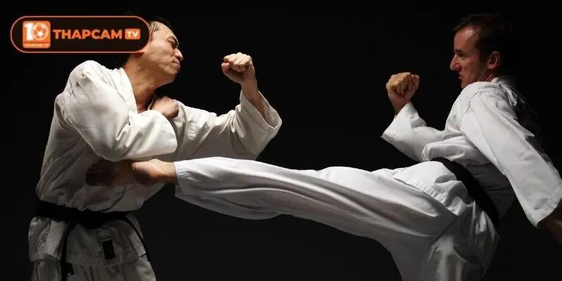 Lợi ích mà bộ môn thể thao võ thuật mang đến 