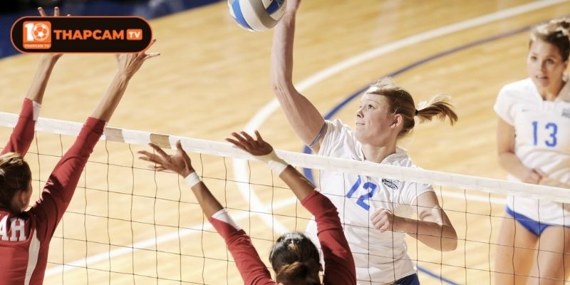 Cập Nhật Thông Tin Về Các Giải Bóng Chuyền Hot Nhất 4 Lưu ý khi truy cập website Thapcam tìm kiếm thông tin