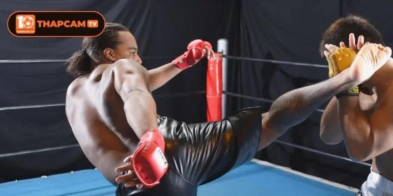 Kick Boxing - Môn Thể Thao Đối Kháng Hot Nhất 4 Một vài mẹo khi xem trực tiếp kickboxing