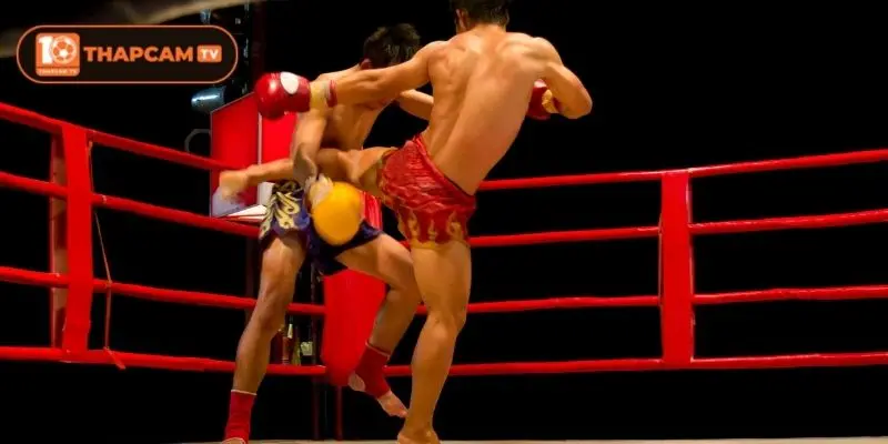 Quy tắc thi đấu của môn võ truyền thống Thái Lan