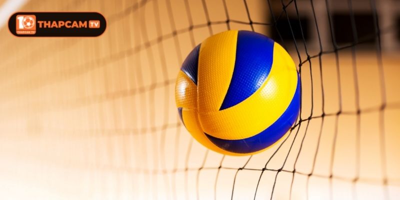 Thông tin về lịch thi đấu bóng chuyền trong nước